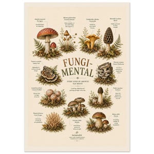 Botanical Mushroom Print, Vintage Fungi Wall Art, Wellbeing Growth Poster preview