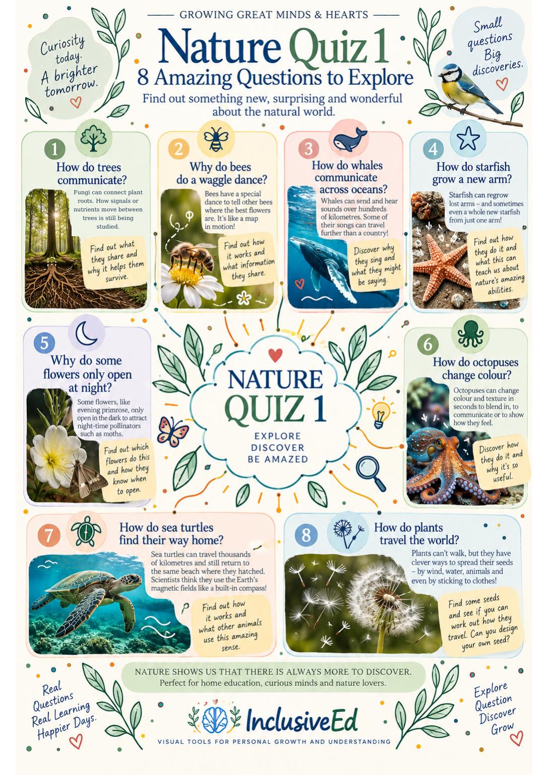 InclusiveEd Nature Quiz 1: eight illustrated questions to explore the natural world