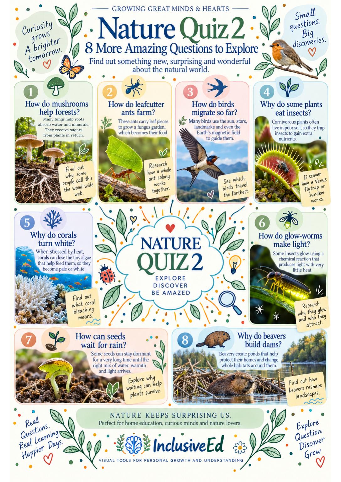 InclusiveEd Nature Quiz 2: eight illustrated questions to explore the natural world