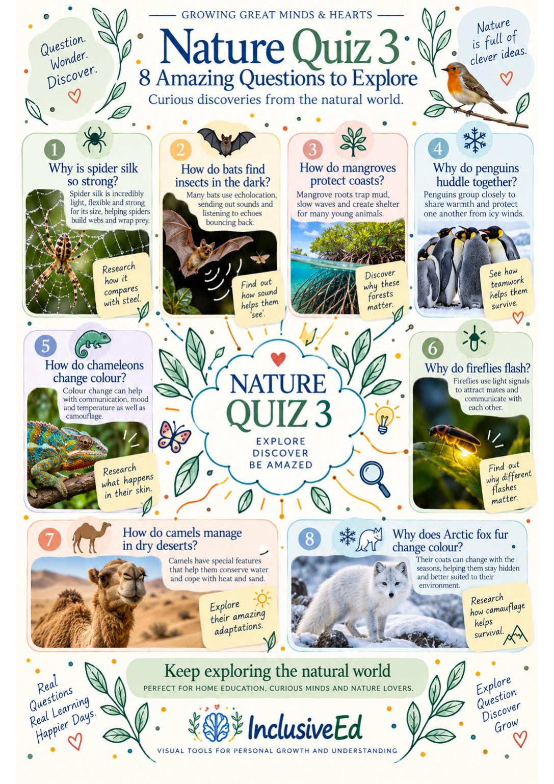 InclusiveEd Nature Quiz 3: eight illustrated questions to explore the natural world