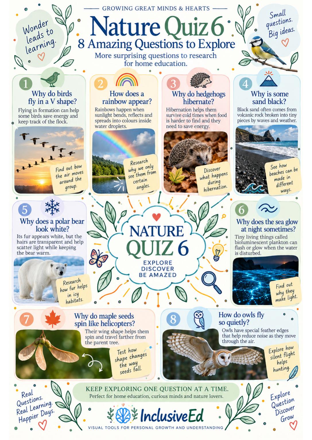InclusiveEd Nature Quiz 6: eight illustrated questions to explore the natural world